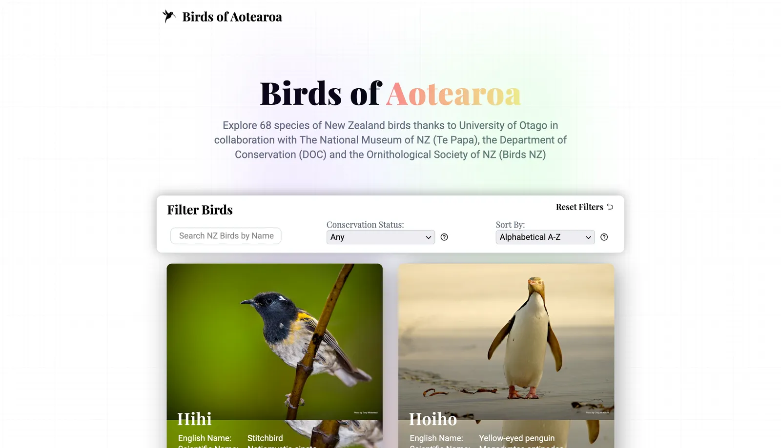 Birds of Aotearoa project preview